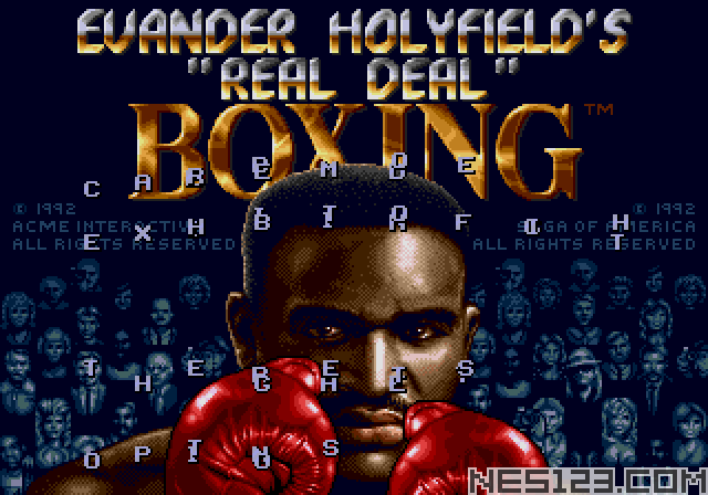 Evander Holyfield's Boxing