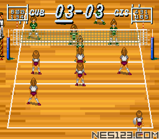 Multi Play Volleyball