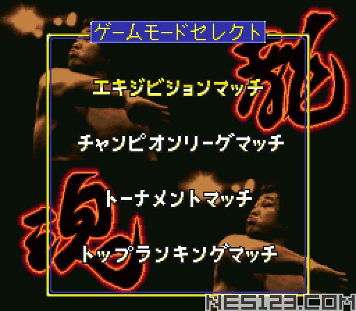 Tenryuu Genichiro no Pro Wrestling Revolution